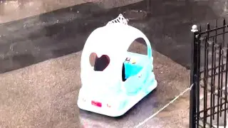 "Мне нужен этот кабриолет". Видео с машиной в Алматы развеселило Казнет