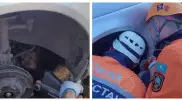 Собака застряла под машиной в Усть-Каменогорске - на помощь пришли спасатели
