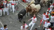 Семь человек оказались в больнице после забега быков в испанской Памплоне