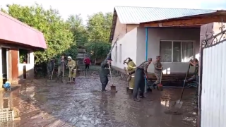 кадр из видео/МЧС