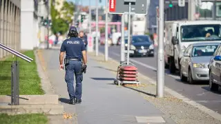 Полиция в Германии помогла вернуть украденный куст конопли