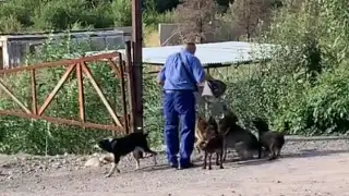 Кадр из видео