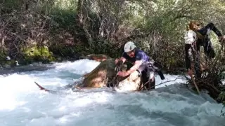 "Хотела сделать селфи": в Туркестане вторые сутки ищут 16-летнюю девочку, упавшую с обрыва в реку