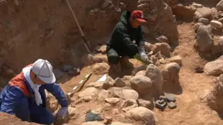 Кадр из видео otyrar.kz