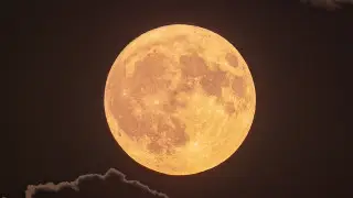 "Опять все пропустила": суперлуну запечатлел казахстанский фотограф