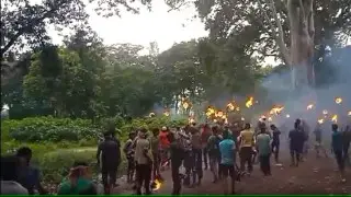 Люди начали мстить слонам в индийской деревне