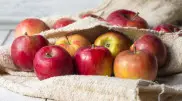 Яблоки запретили завозить в Казахстан