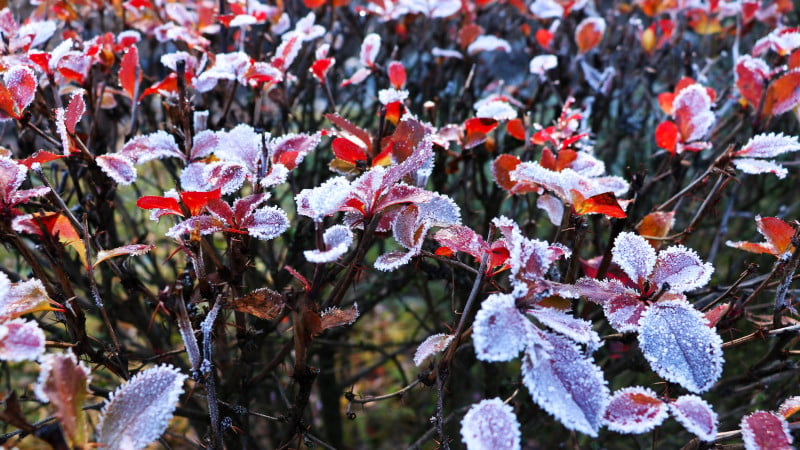 Фото:depositphotos.com