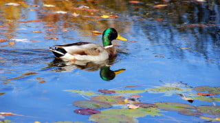 Фото:depositphotos.com