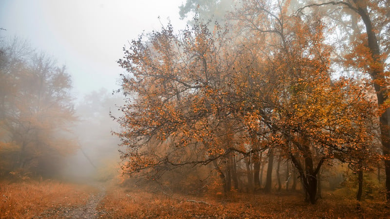 Фото:depositphotos.com