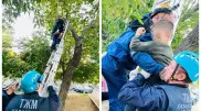 Забрался на дерево и не смог спуститься: на помощь ребенку пришли спасатели в Павлодаре