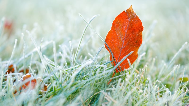 Фото:depositphotos.com