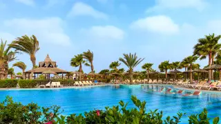 Пятизвездочный отдых превратился в “адские каникулы“: почти 1000 туристов подали в суд на курорт