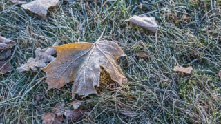 Фото:depositphotos.com