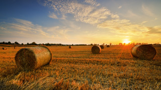 Фото:depositphotos.com