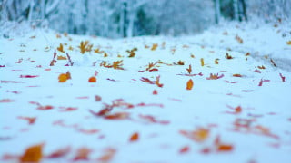 Фото:depositphotos.com