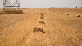 Фото:depositphotos.com