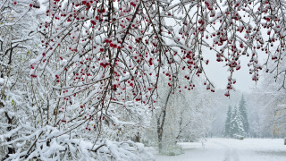 Фото:depositphotos.com