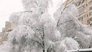 Фото ©️ Tengrinews.kz / Алихан Сариев