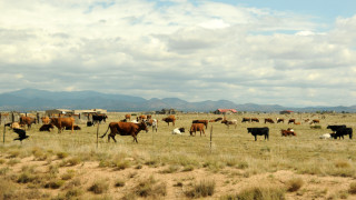 Фото:depositphotos.com