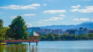 Что искали туристы в 2024 году: топ направлений назвал Google