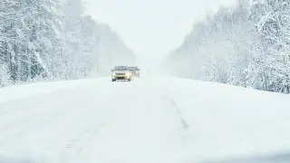 Иллюстративное фото:depositphotos.com