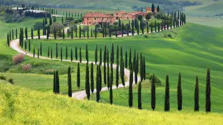 Эти две страны готовы заплатить за переезд до 40 миллионов тенге