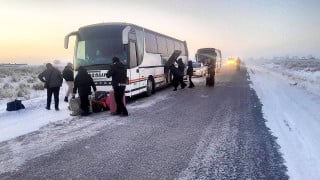 Фото и видео ДП области Абай