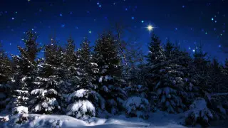 Гороскоп на сегодня: кто окажется в центре внимания, а кому стоит замедлиться