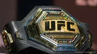Промоушен UFC отметил выступивших в 2024 году казахстанцев