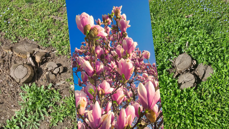 Фото читательницы Tengrinews.kz, depositphotos.com