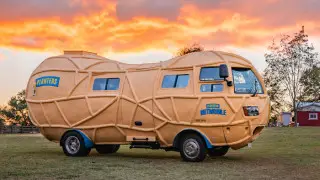 Фото: plantersnutmobile.com