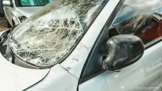 Сколько автомобилей ежедневно ездит по дорогам Алматы