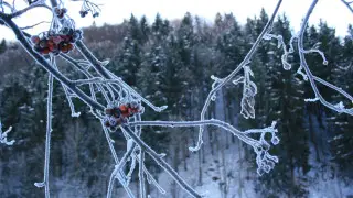 Как преодолеть зимнюю апатию разным знакам зодиака – часть I: Овен, Телец, Близнецы, Рак