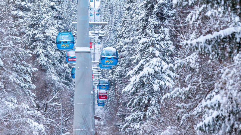 Иллюстративное фото ©depositphotos.com