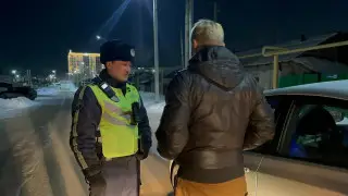 Фото: пресс-служба ДП Костанайской области