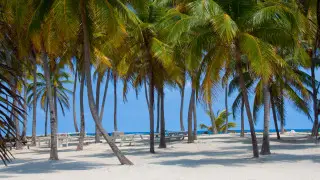 Загадочную смерть трех молодых американских туристок расследуют в Белизе