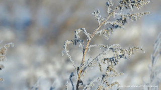 Фото ©️ Tengrinews.kz / Турар Казангапов