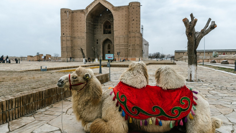 Фото ©️ Турар Казангапов