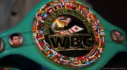 Казахстанский боксер возглавил рейтинг WBC