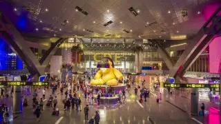 Как выглядит самый красивый аэропорт в мире: тропический сад и спа от Dior