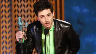 Фото: instagram.com/tchalamet