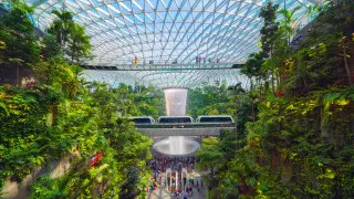 Назван лучший аэропорт в мире – 2025