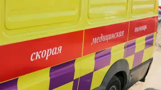 Иномарка наехала на четырех пешеходов в Атбасаре
