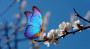 Фото:depositphotos.com
