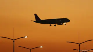 Самолет столкнулся с птицей при посадке в Астане