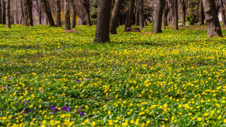 Фото:depositphotos.com
