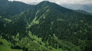 Трагедия в горах Алматы: что известно о гибели девушки в ущелье Горельник