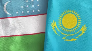 Впервые в истории: в UFC пройдет бой Казахстан - Узбекистан