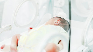 Фото:depositphotos.com
